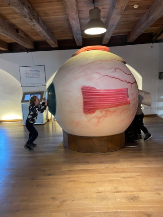 5.A Program Barevné planetky + následna výtvarná činnost